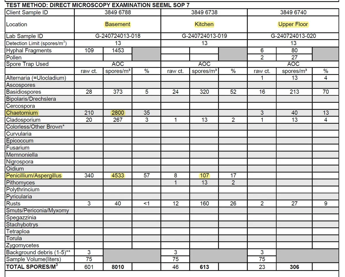Mold inspection test report displayed for client interpretation during a professional mold testing consultation